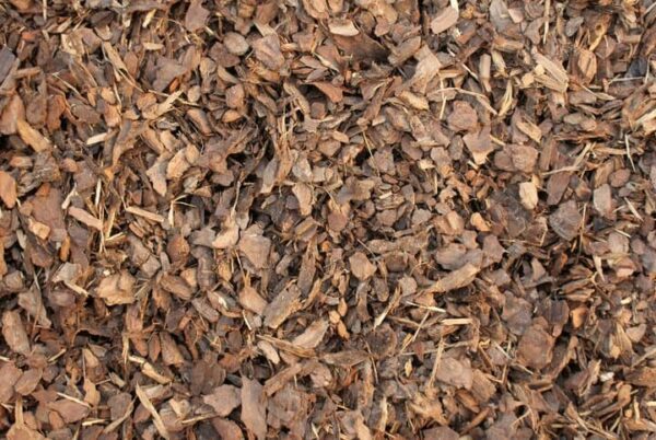 Mini pine bark nuggets used as decorative mulch for garden beds and walkways in Alpharetta and Cumming, GA