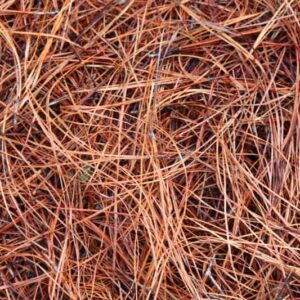 Clean long needle pine straw bales for mulch and erosion control in landscaping around Alpharetta and Cumming, GA