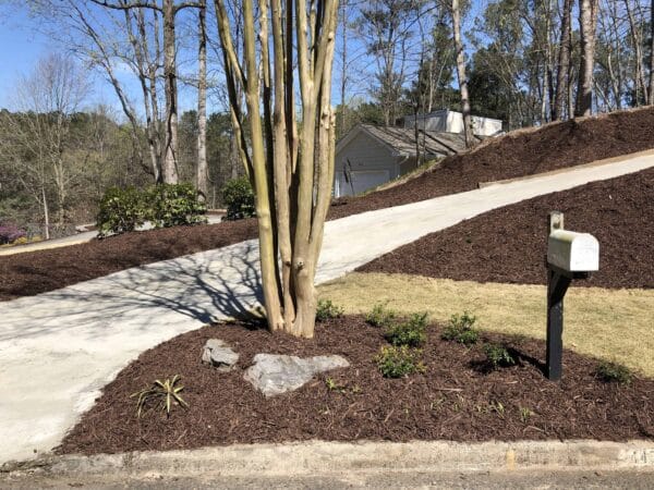 Brown Mulch - Image 5