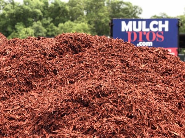 Red Mulch - Image 3