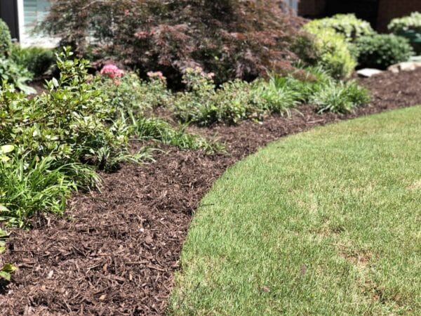 Brown Mulch - Image 3