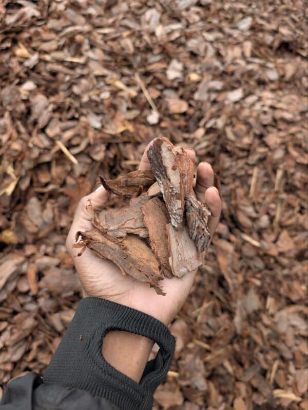 Pine Bark Jumbo Nugget Mulch - Image 2