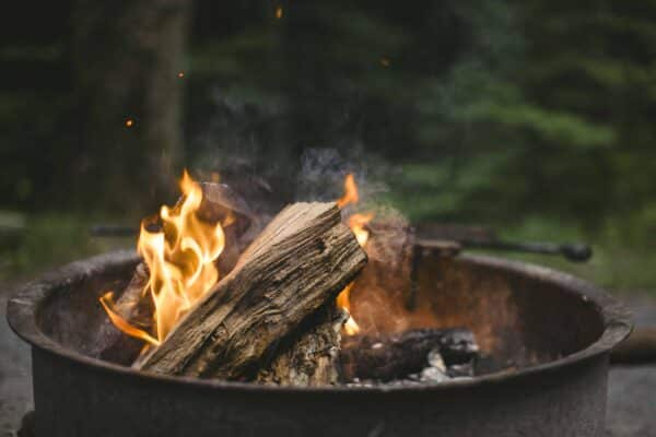 Firewood Bundle - Image 2