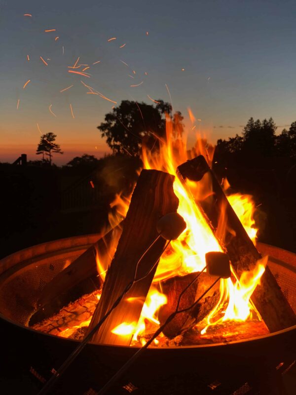Firewood Bundle - Image 4