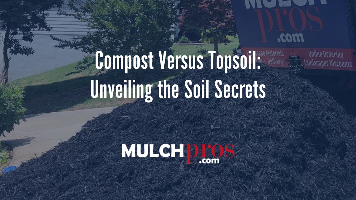 Compost Versus Topsoil: Unveiling the Soil Secrets
