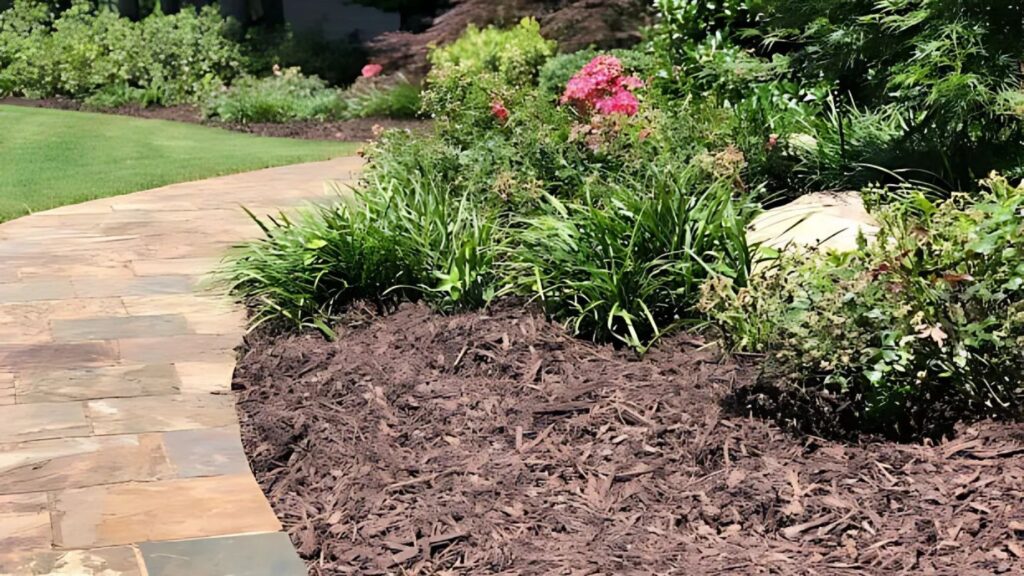 Creating Pathways and Walkways