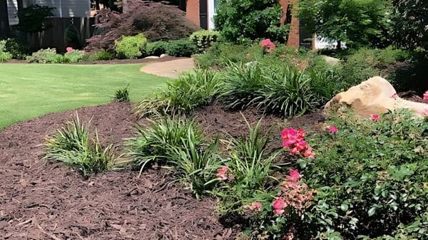 Flower Bed with Dark Mulch and Green Plants
