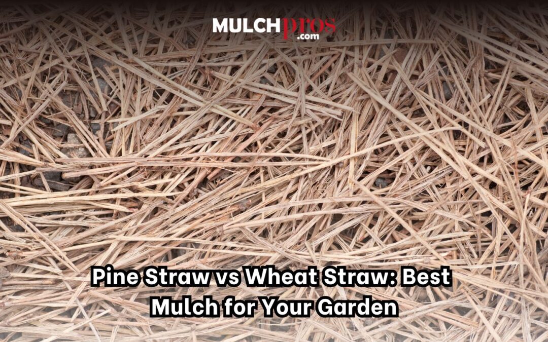 Pine Straw vs Wheat Straw: Best Mulch for Your Garden