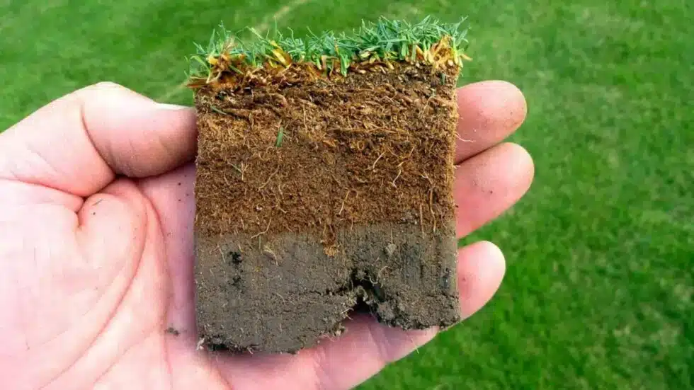 Can Mulching Kits Improve Lawn Health: Essential Benefits Revealed