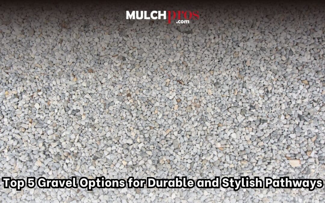 Top 5 Gravel Options for Durable and Stylish Pathways