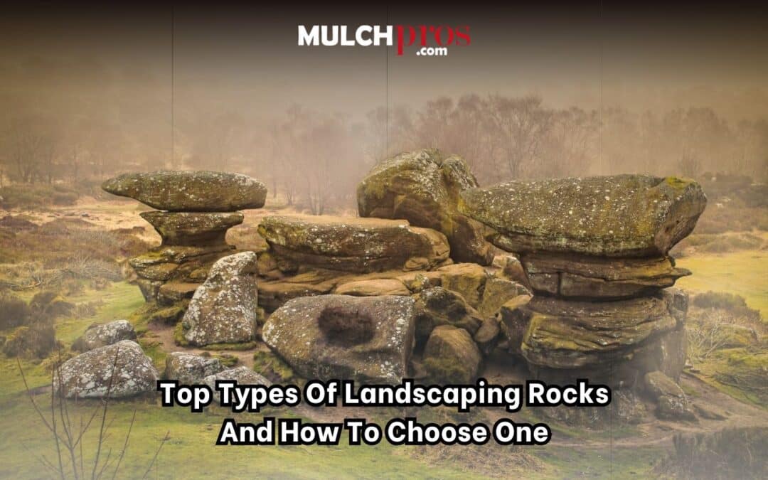 Top Types of Landscaping Rocks and How to Choose One