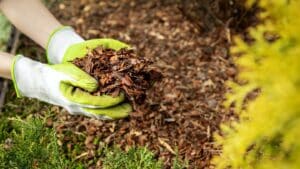 benefits of using playground mulch